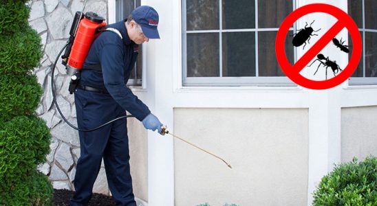 Arifiye Hamam Böceği İlaçlama böcek ilaçlama ve haşere kontrolü — ilaclama-tr.com